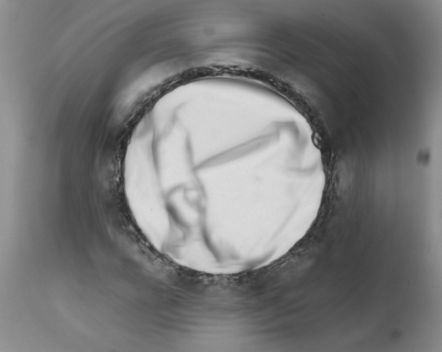 X0000111680920200908281132