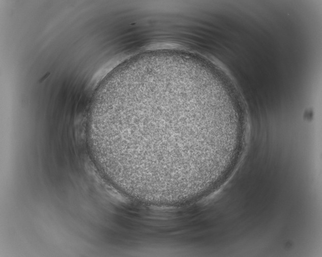 X0000111680921200908281132