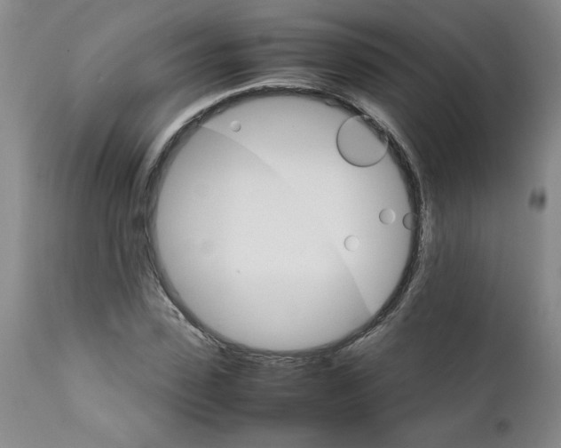 X0000111680923200908281132