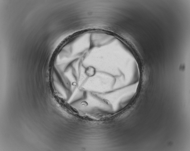 X0000111680924200908281132