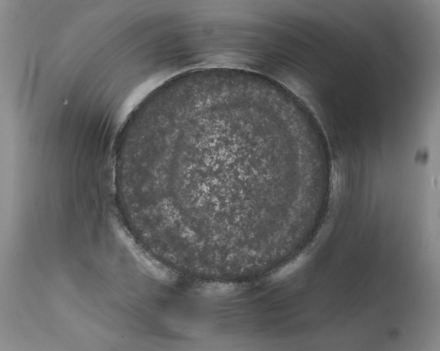 X0000111680925200908281132