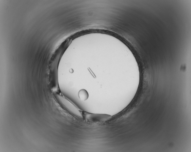 X0000111680926200908281132