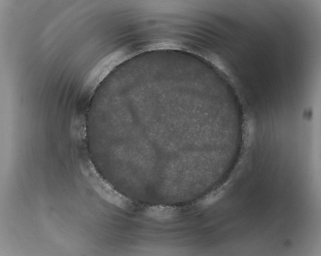 X0000111680929200908281132