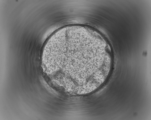 X0000111680930200908281132