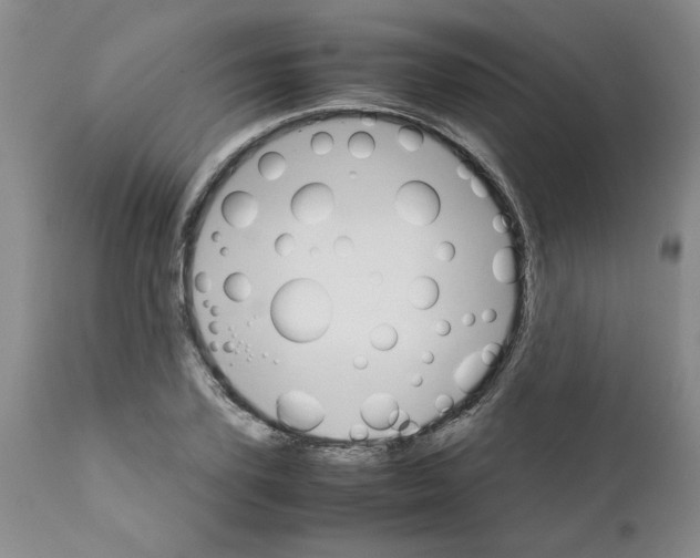 X0000111680931200908281132