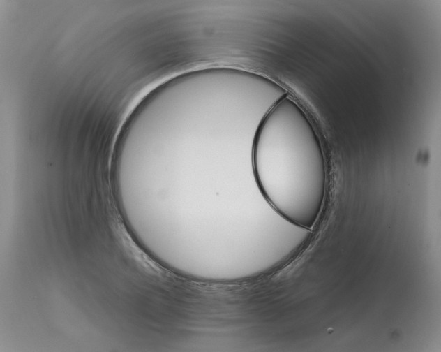 X0000111680932200908281132