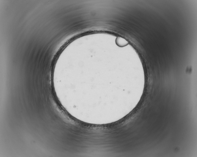 X0000111680934200908281132