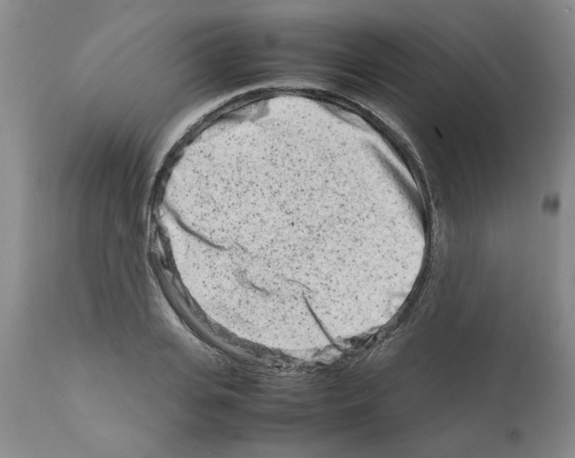 X0000111680935200908281132