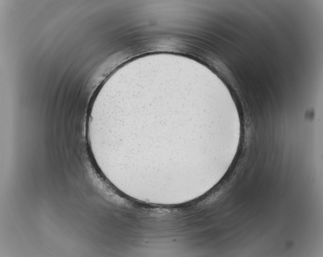 X0000111680938200908281132