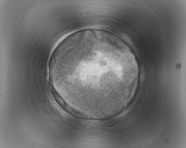 X0000111680940200908281132