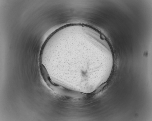 X0000111680943200908281132