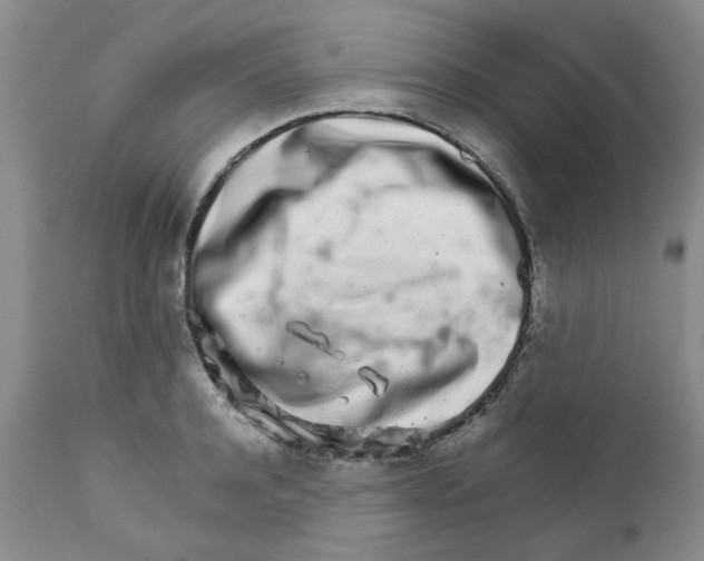 X0000111680944200908281132