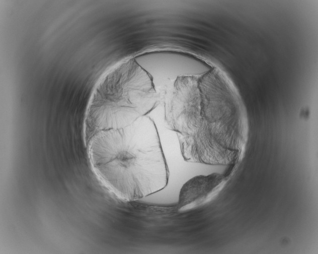 X0000111680945200908281132