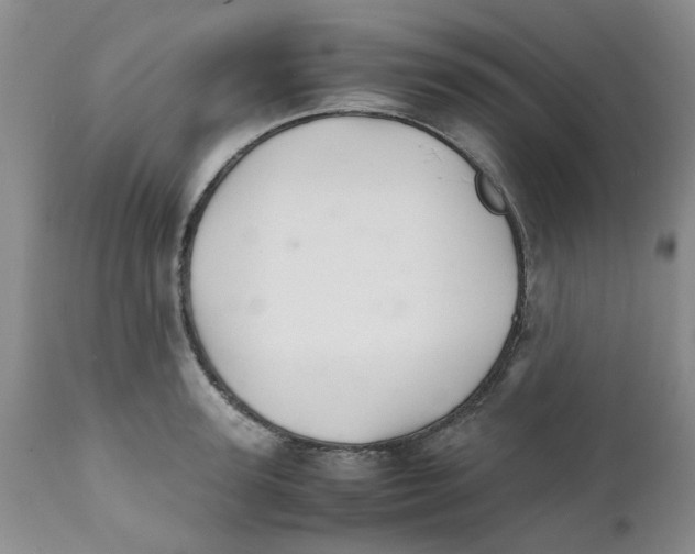 X0000111680947200908281132