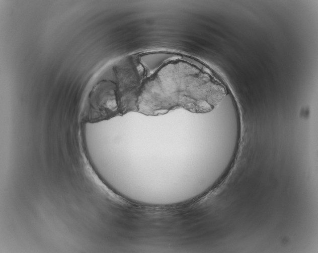 X0000111680949200908281132