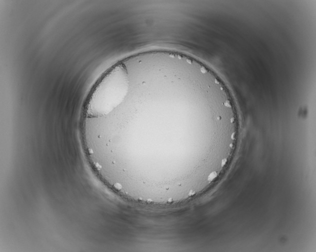 X0000111680950200908281132