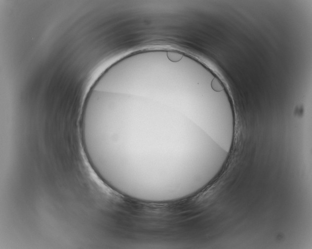 X0000111680951200908281132