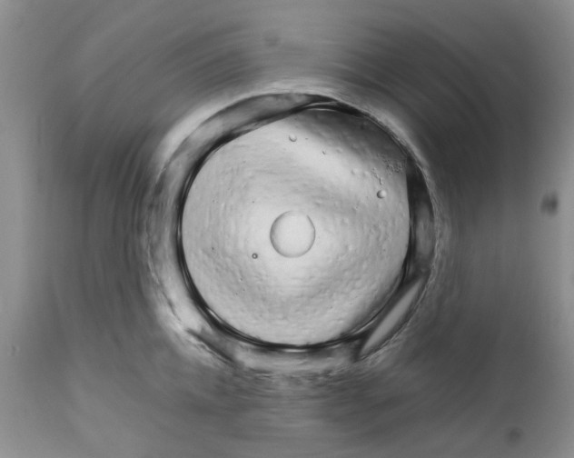 X0000111680952200908281132