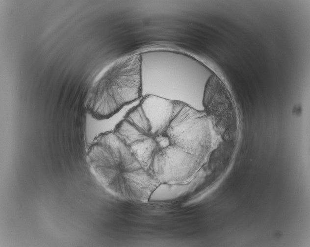 X0000111680953200908281132