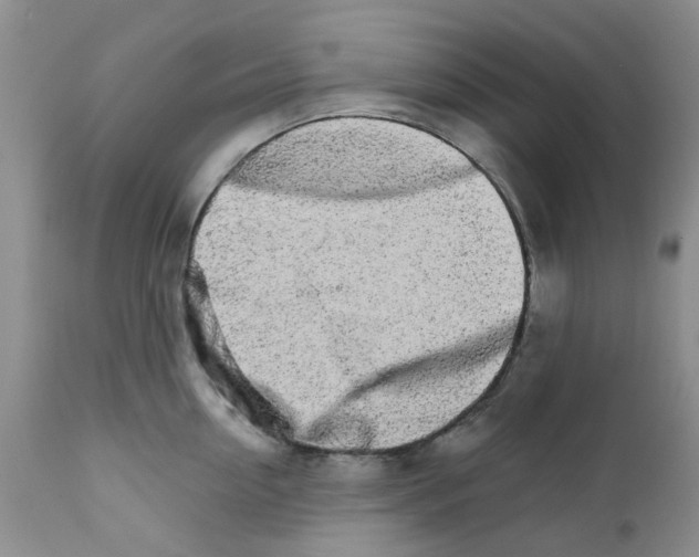 X0000111680954200908281132