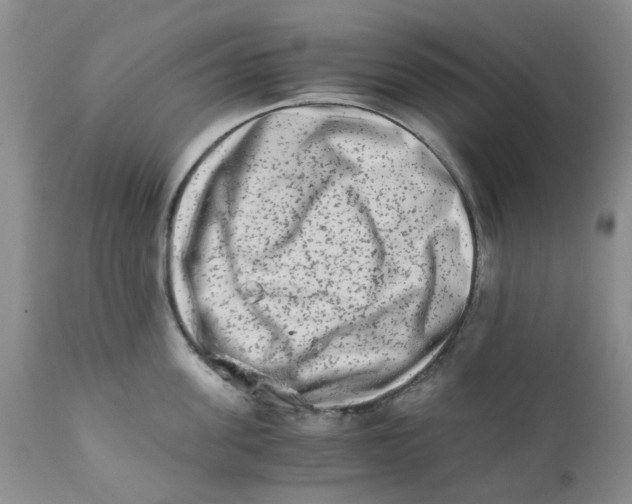 X0000111680955200908281132