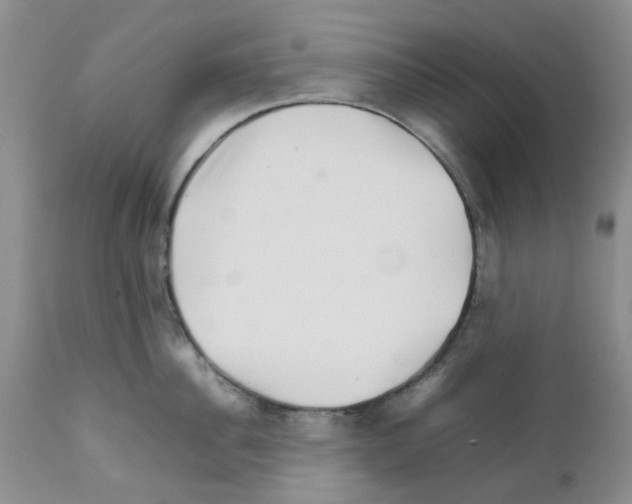 X0000111680956200908281132