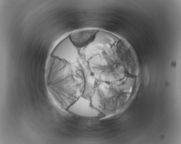 X0000111680957200908281132