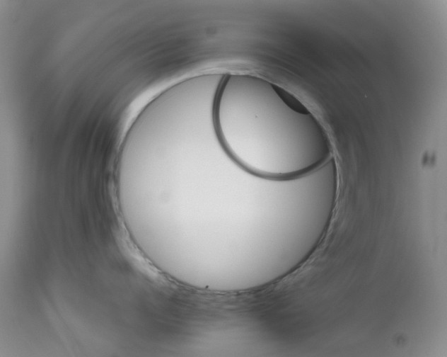 X0000111680960200908281132