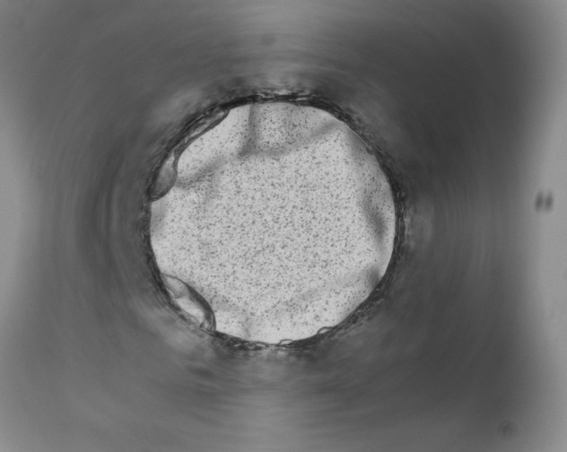 X0000111680961200908281131