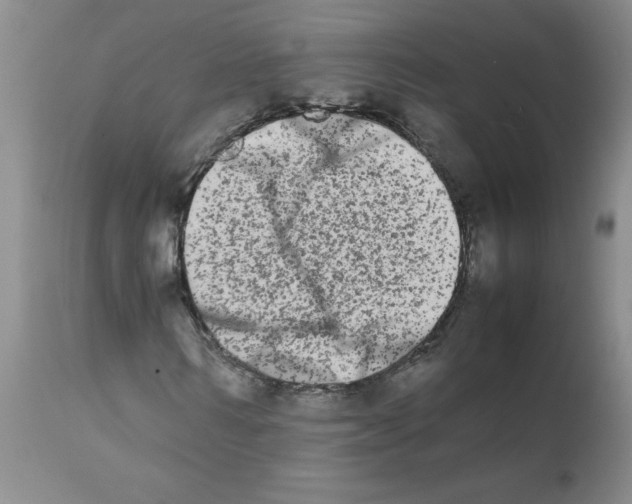 X0000111680962200908281131