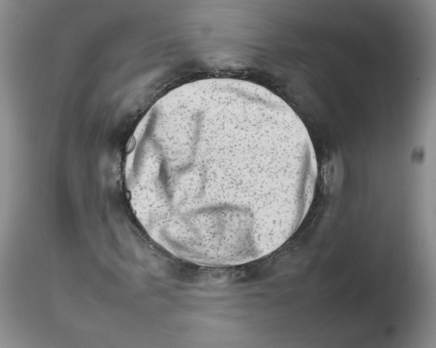 X0000111680963200908281131