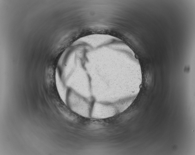 X0000111680964200908281131