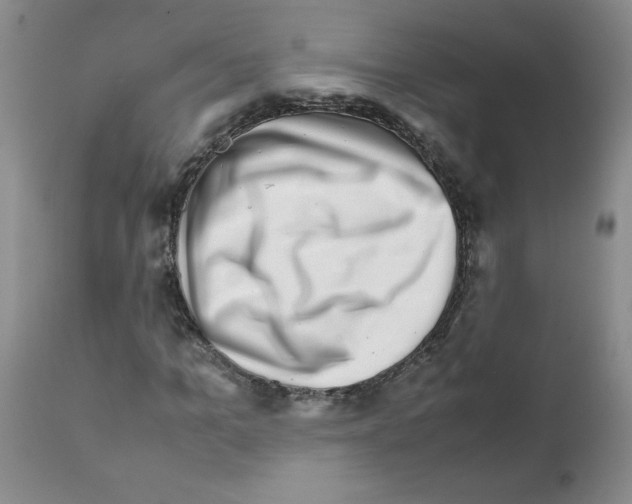 X0000111680965200908281131