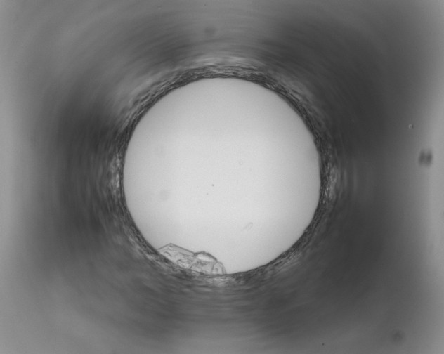 X0000111680966200908281131