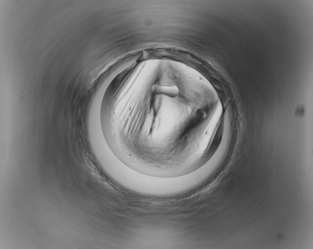 X0000111680969200908281131