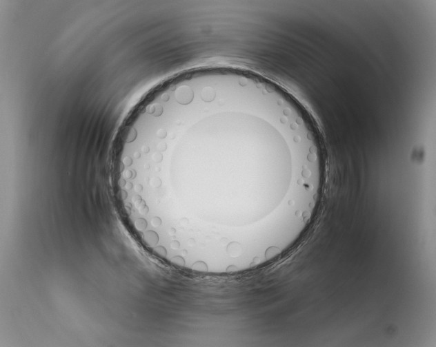 X0000111680972200908281131