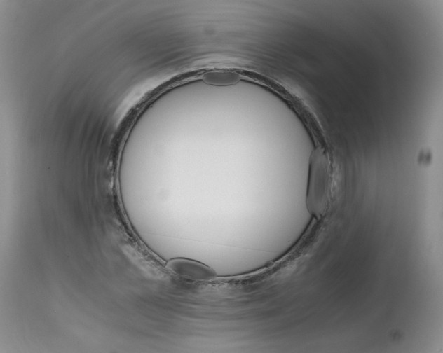 X0000111680973200908281131