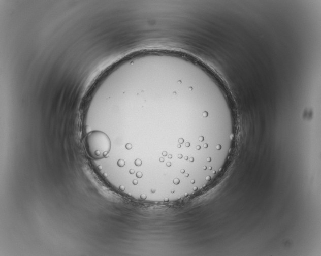 X0000111680974200908281131