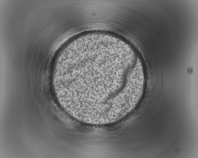 X0000111680975200908281131