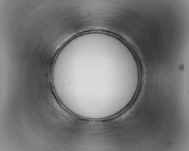 X0000111680977200908281131