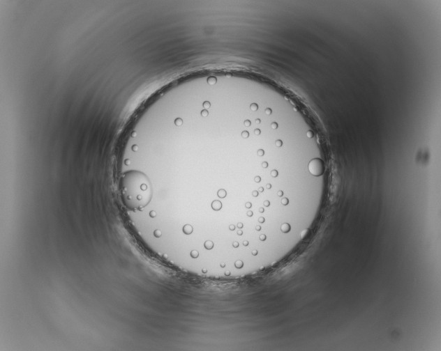 X0000111680978200908281131