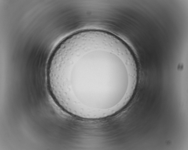 X0000111680980200908281131