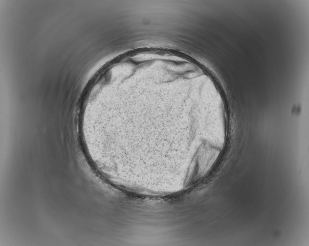 X0000111680983200908281131