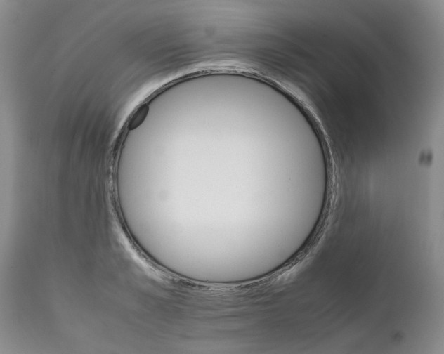 X0000111680989200908281131