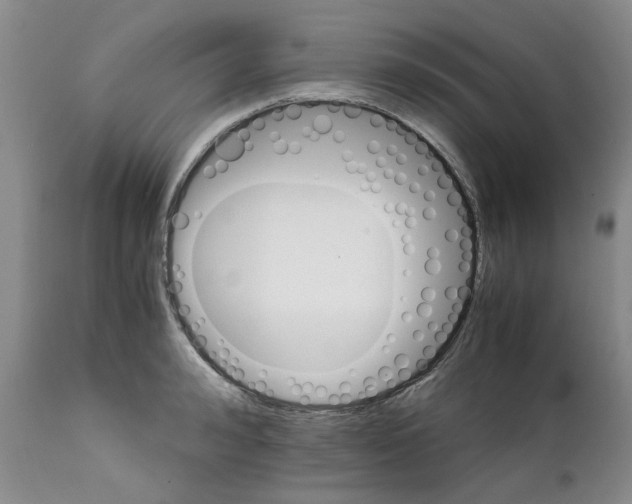 X0000111680992200908281131