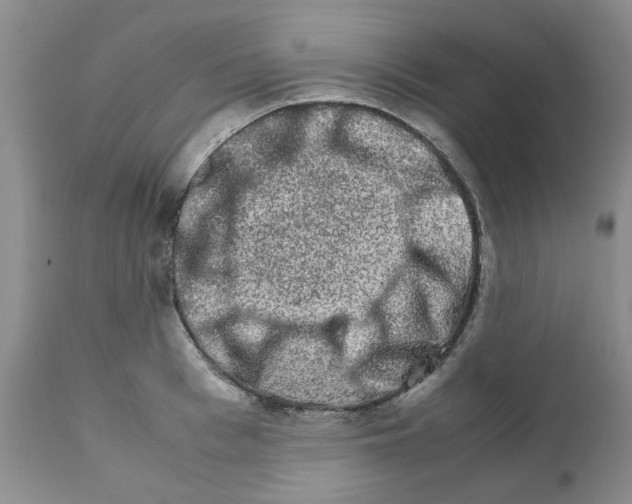 X0000111680993200908281131