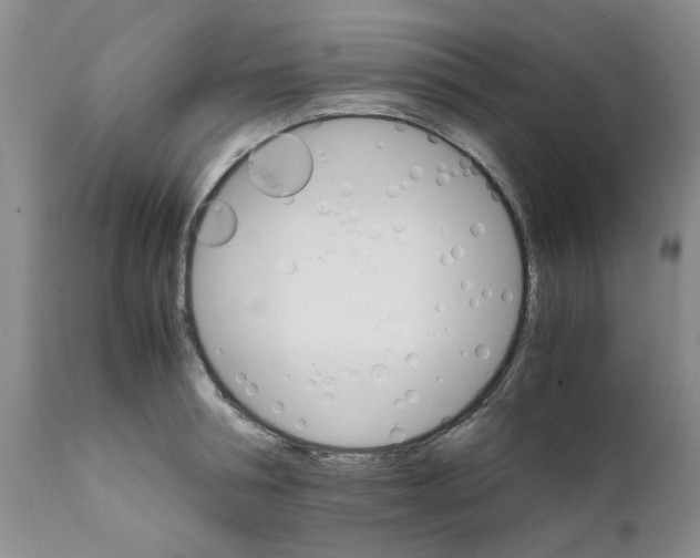 X0000111680994200908281131