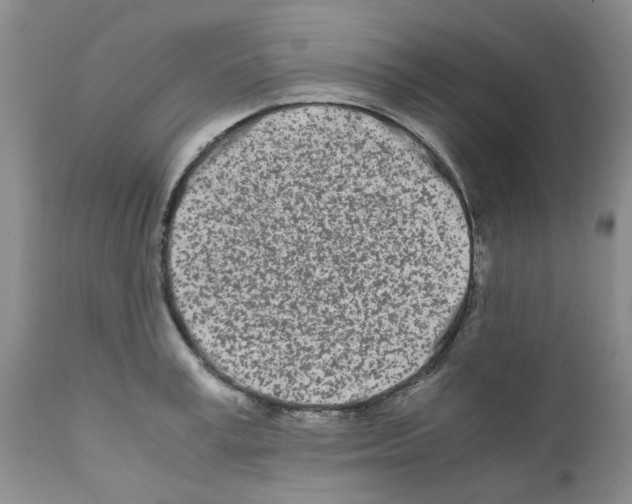 X0000111680995200908281131