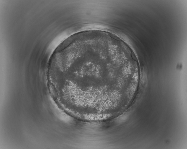 X0000111680997200908281131