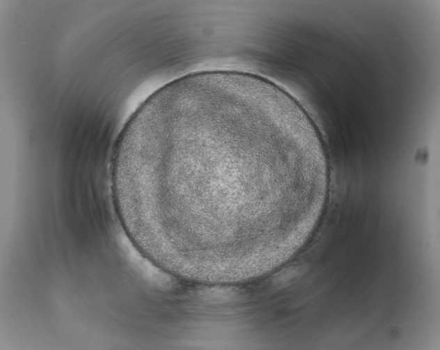 X0000111680998200908281131